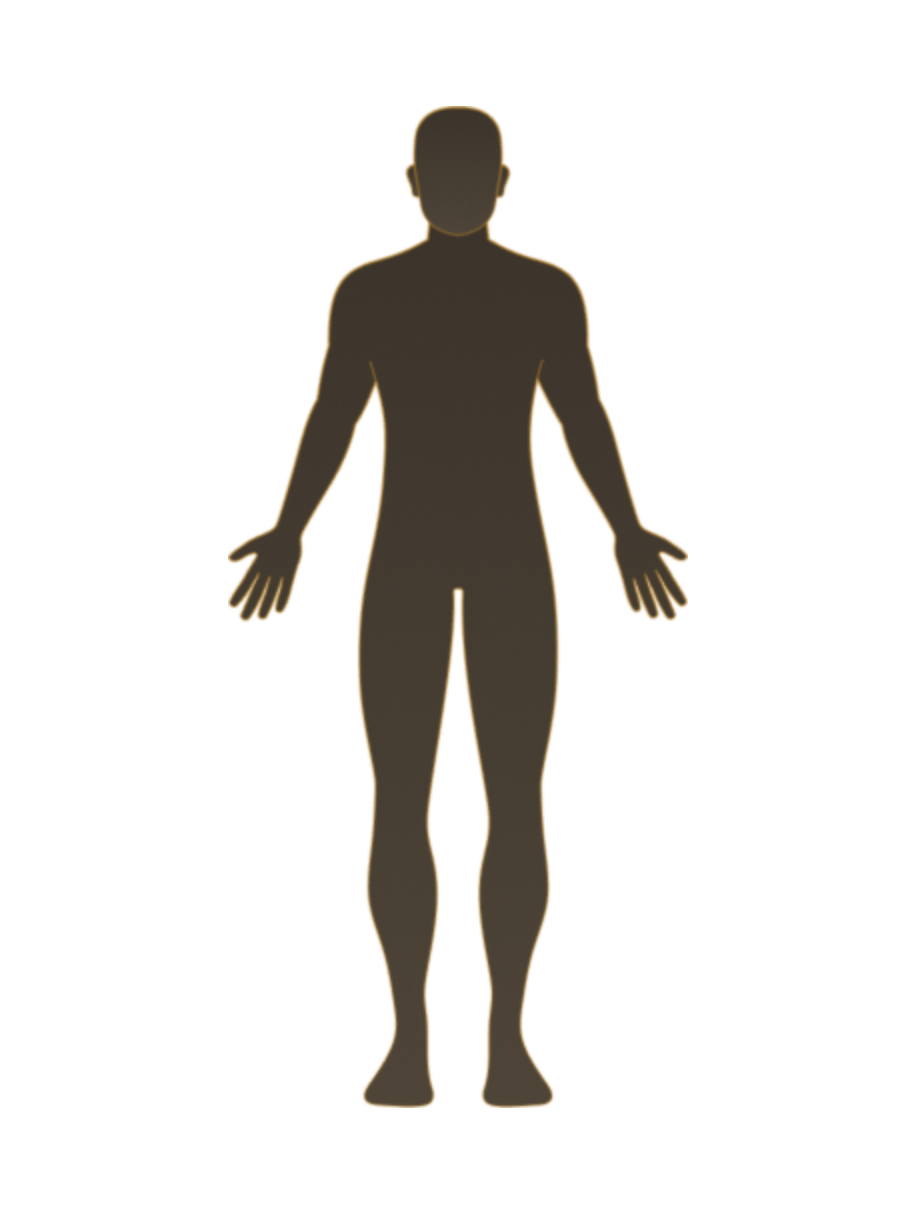 The human body with mitochondria-dependent organ systems labeled